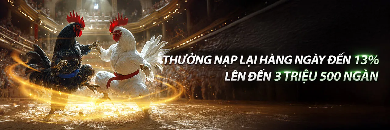 Sân đá gà Thomo hoành tráng